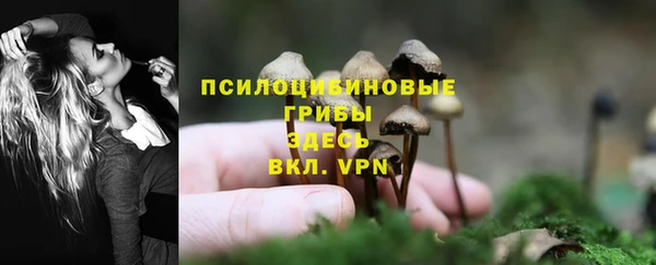 прущая мука Михайловск